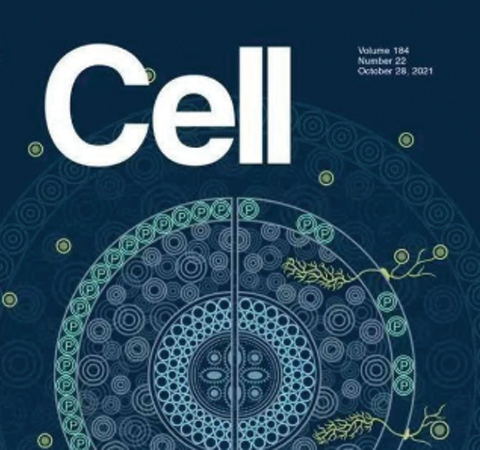 祝賀王二濤老師團(tuán)隊(duì)又一佳作榮登Cell期刊！