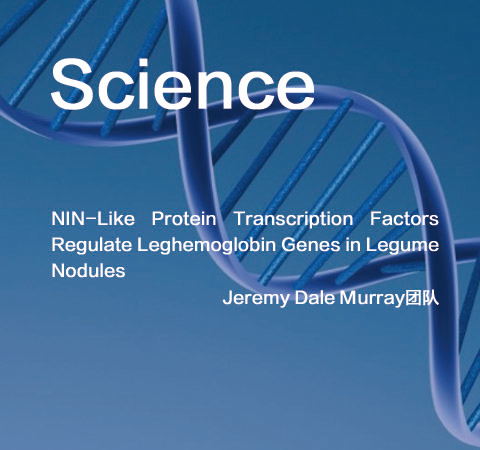 祝賀Jeremy Dale Murray團(tuán)隊(duì)佳作榮登Science期刊！